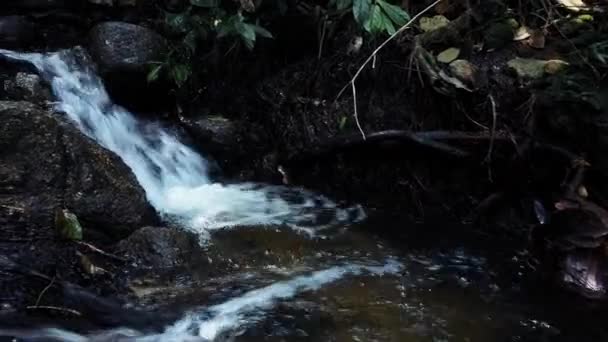 特写镜头 流经青苔岩石的河流急流 — 图库视频影像