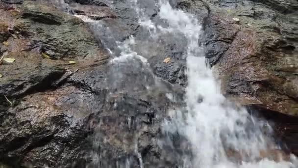 Imágenes de cerca, rápidos fluyendo a través de la roca musgosa — Vídeo de stock