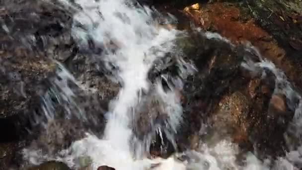 Görüntüleri kapatın, yosunlu kayanın içinden akan nehir akıntıları — Stok video