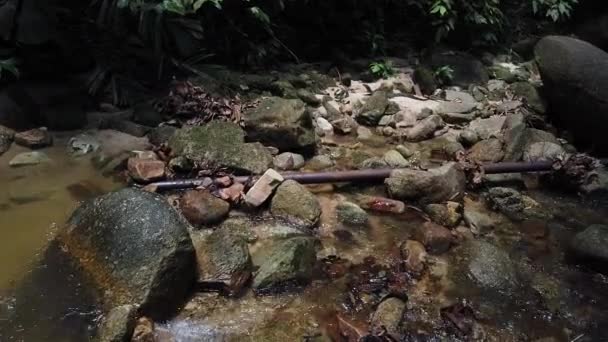 Görüntüleri kapatın, yosunlu kayanın içinden akan nehir akıntıları — Stok video