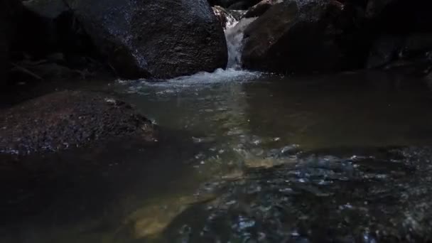 Nahaufnahmen, Stromschnellen, die durch moosiges Gestein fließen — Stockvideo