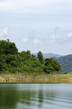 Royal Belum State Park, Perak Malezya 'da tropikal yağmur ormanlarının güzel doğası.