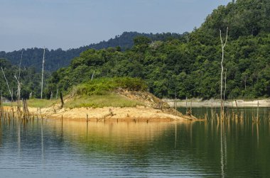 Royal Belum State Park, Perak Malezya 'da tropikal yağmur ormanlarının güzel doğası.