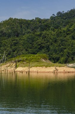 Royal Belum State Park, Perak Malezya 'da tropikal yağmur ormanlarının güzel doğası.
