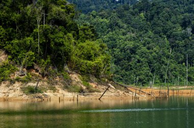 Royal Belum State Park, Perak Malezya 'da tropikal yağmur ormanlarının güzel doğası.