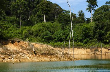 Royal Belum State Park, Perak Malezya 'da tropikal yağmur ormanlarının güzel doğası.