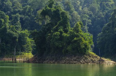 Royal Belum State Park, Perak Malezya 'da tropikal yağmur ormanlarının güzel doğası.