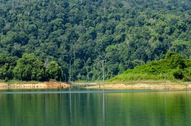 Royal Belum State Park, Perak Malezya 'da tropikal yağmur ormanlarının güzel doğası.