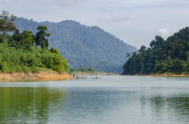 Royal Belum State Park, Perak Malezya 'da tropikal yağmur ormanlarının güzel doğası.