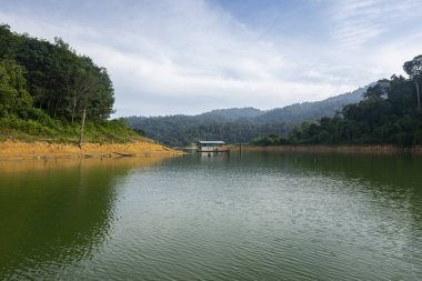 Royal Belum State Park, Perak Malezya 'da tropikal yağmur ormanlarının güzel doğası.