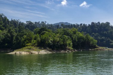 Royal Belum State Park, Perak Malezya 'da tropikal yağmur ormanlarının güzel doğası.