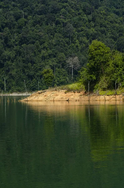 Alam Yang Indah Dari Hutan Hujan Tropis Royal Belum State — Stok Foto