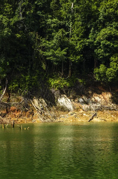 Тропічні Ліси Парку Royal Belum State Park Perak Malaysia — стокове фото