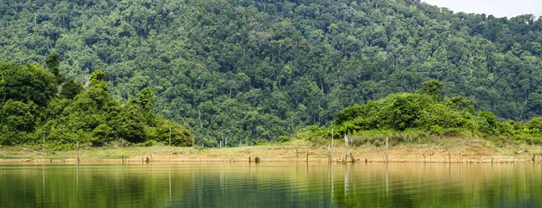 马来西亚霹雳州皇家Belum国家公园热带雨林的美丽自然 — 图库照片