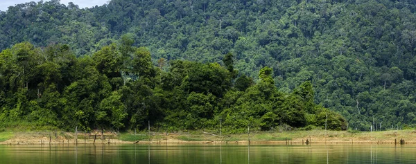 马来西亚霹雳州皇家Belum国家公园热带雨林的美丽自然 — 图库照片