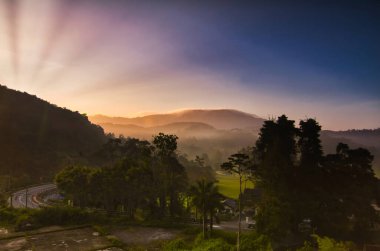 Doğa kompozisyon, Cameron Highland, Malezya'da bulunan çay plantasyon güzel sahne