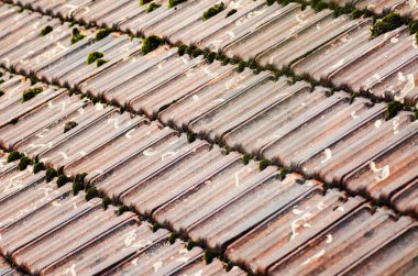 Yeşil yosunlu eski kiremit çatı arka plan dokusu. seçici odak çekimi