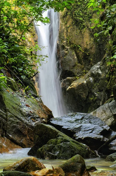 Tropical river stream flowing through mossy rock and green rain forest