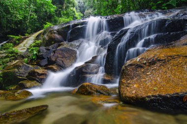 Gür yeşil orman tarafından çevrili güzel tropik şelale.