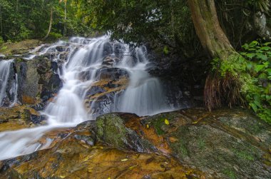 Gür yeşil forest.wet kaya ve yosun çevrili güzel tropik şelale
