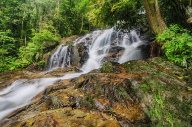Gür yeşil forest.wet kaya ve yosun çevrili güzel tropik şelale