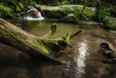 Gür yeşil forest.wet kaya ve yosun çevrili güzel tropik şelale