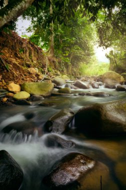 Gür yeşil forest.wet kaya ve yosun çevrili güzel tropik şelale