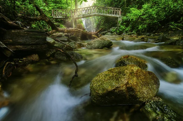 Tropikalne wodospad w lush otoczony przez zielony forest.wet rock i mech — Zdjęcie stockowe