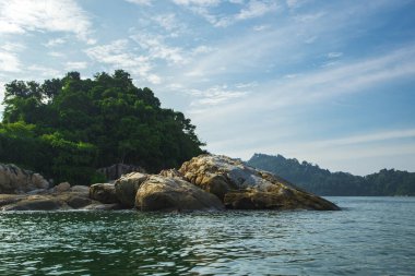 Ada boyunca, Perak State, Malezya 'da Pangkor Adası' nda hareketlilik umuduyla gezen kaplumbağa kaya gibi görünür.