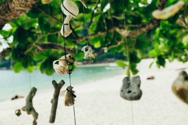 Malezya 'nın Pangkor Adası' ndaki Nipah Körfezi 'nin güzel doğasına karşı sahilde bir ağaç asan mercan.