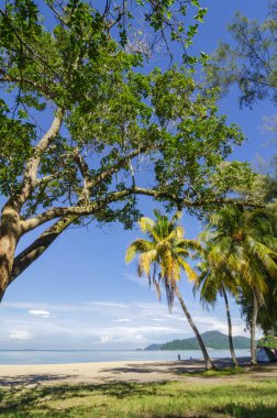 Doğadaki güzellik, Perak Eyaleti 'ndeki Teluk Batik Sahili, Malezya Parlak güneşli gün ve bulutlu gökyüzü altında