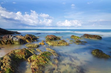 Doğada güzellik, Terengganu, Malezya plajı güneşli bir gün ve mavi gökyüzü altında