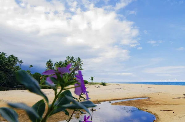 Frumusețe Natură Terengganu Malaezia Plajă Sub Soare Luminos Cer Albastru — Fotografie, imagine de stoc