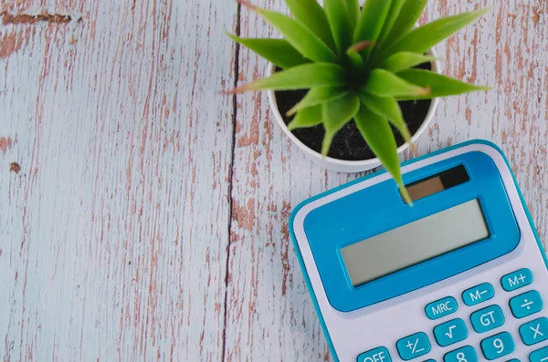 Draufsicht Taschenrechner Mit Künstlicher Pflanze Auf Dem Tisch Für Geschäft — Stockfoto