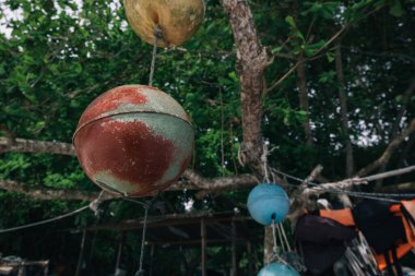 Parlak güneşli bir arka planda ağaçta asılı duran balık ağı için küçük köpük topu şamandırası.