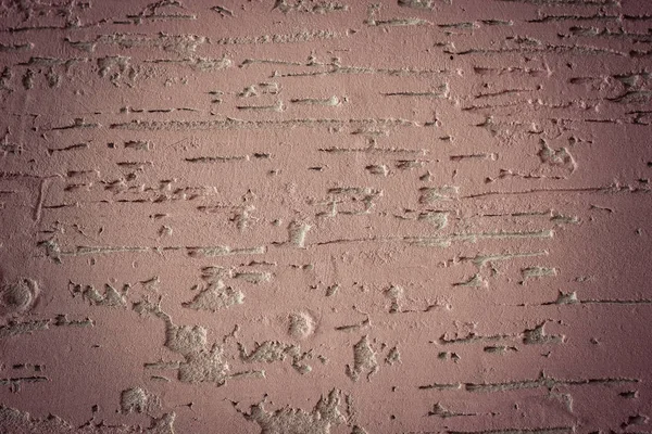 Plastering bark beetle. Background, texture. — Stock Image Plastering bark beetle. Background, texture. Royalty Free Stock Images