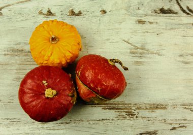 Ahşap bir tezgah üzerinde dekoratif kabaklar