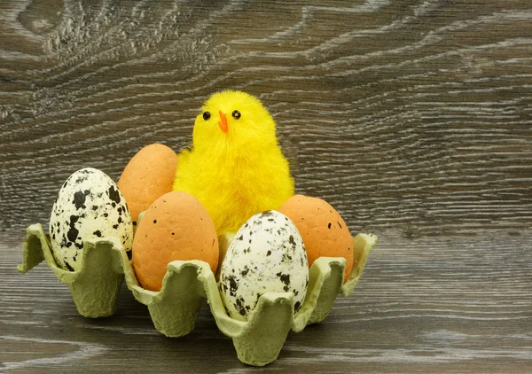 Easter decoration with chicken and eggs — Stock Photo, Image