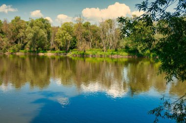 Güzel bir manzara, yaz mevsimi, tarlalar arasında akan böcek nehri ve mavi gökyüzü ve beyaz bulutlarla dolu ormanlar. Polonya yazın