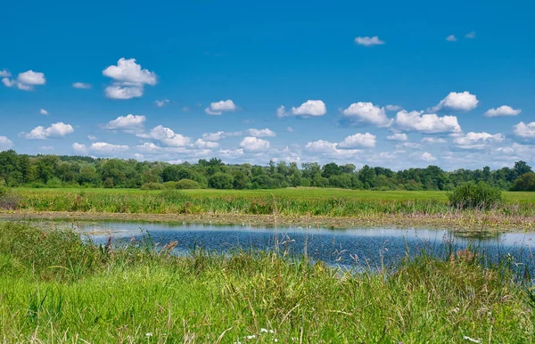 Bug Lecho Del Río Entre Prados Verdes Verano Bajo Cielo — Foto de Stock