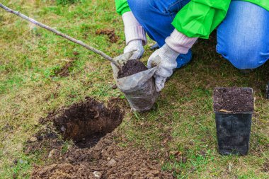 Bahçıvan toprağa kürekle tohum eker..
