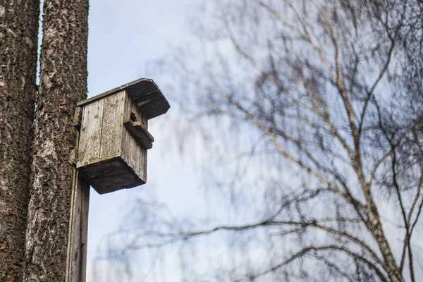 Vogelhaus. Zubringer auf einen Baum. — Stockfoto