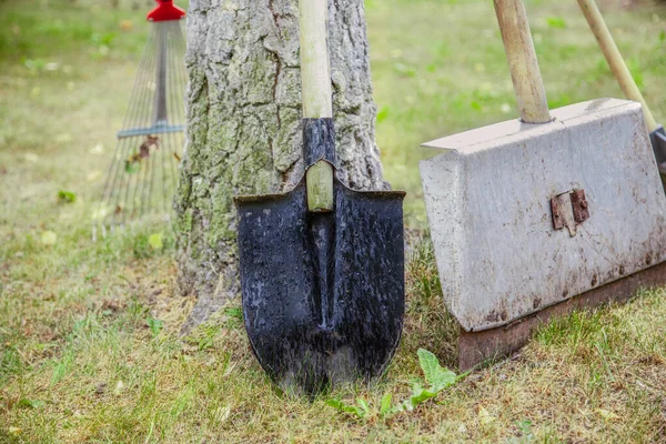 Sebuah sekop adalah alat tukang kebun . — Stok Foto