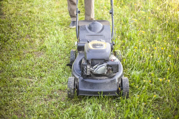 El jardinero corta la hierba con una cortadora de césped. Cuidado del césped . — Foto de Stock