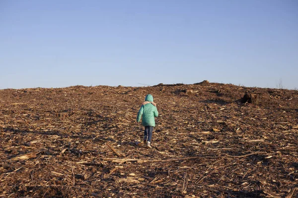 Uma criança numa clareira. Protecção do ambiente das crianças . — Fotografia de Stock