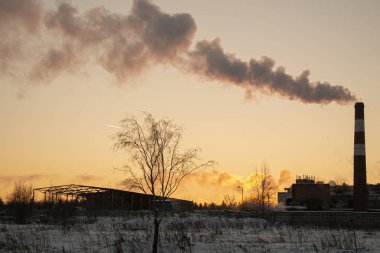 Duman bacadan geliyor. Bitki tarlada duruyor. Gün batımında sanayi manzarası. Havada duman salınımı var. Hava kirliliği. Çöp yakmak. Şehirdeki çevresel sorunlar. Yüksek boru.