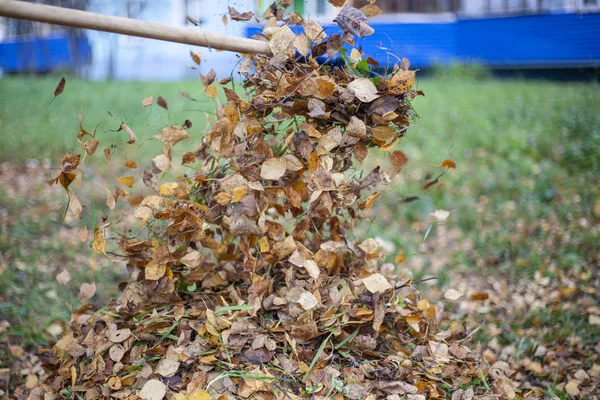 Récolte des feuilles sèches. Un tas de feuilles à l'automne . — Photo