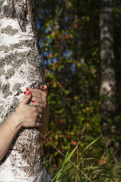 Red nail polish. Girl hugs a birch. Proximity to nature. Natural beauty and bright manicure. Romantic mood. Beauty of the Russian girl. The energy of the tree is transmitted through the hands.