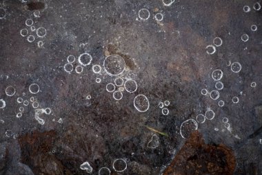 Donmuş suda hava kabarcıkları. Doğadaki buzun dokusu. Donmuş baloncukların güzel doğal arka planı. Yerdeki buz tabakası. Sıcaklık sıfırın altında. Kış geldi. Tasarım için arkaplan.