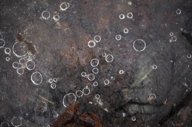 Donmuş suda hava kabarcıkları. Doğadaki buzun dokusu. Donmuş baloncukların güzel doğal arka planı. Yerdeki buz tabakası. Sıcaklık sıfırın altında. Kış geldi. Tasarım için arkaplan.